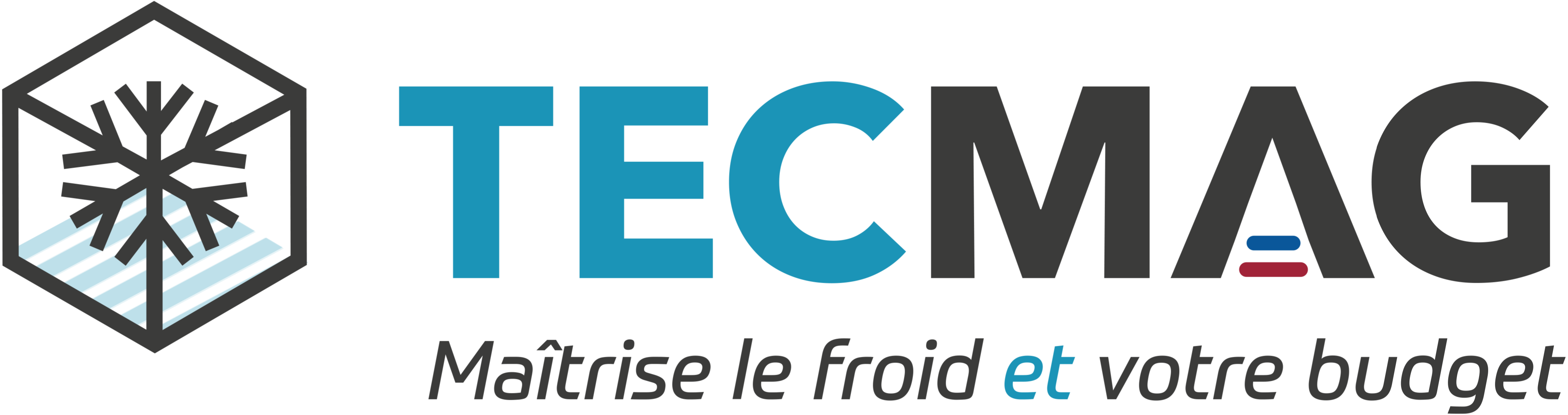 logo TECMAG